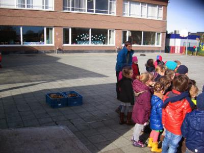 Mobiele tuintjes 008
