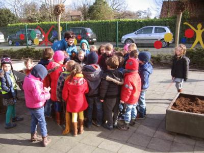 Mobiele tuintjes 015